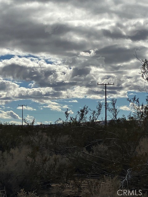 MLS #JT25240217 image #10