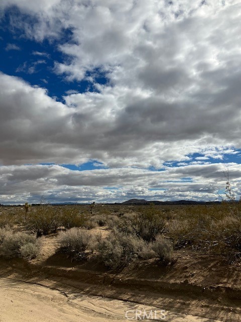 MLS #JT25240217 image #12