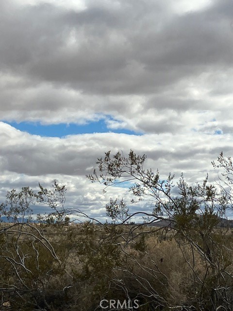 MLS #JT25240217 image #13