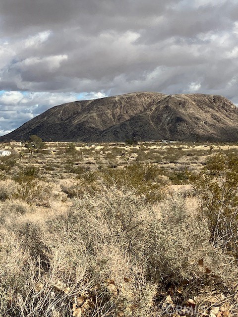 MLS #JT25240217 image #2