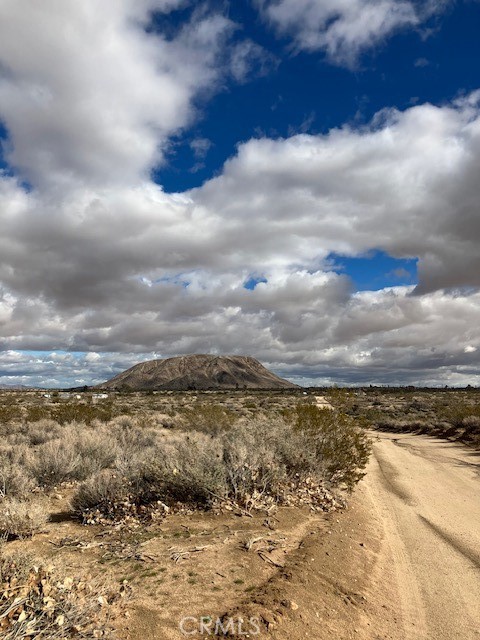 MLS #JT25240217 image #6