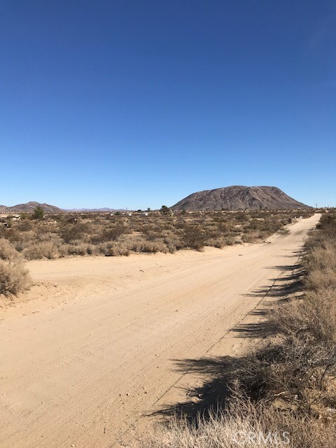 MLS #JT25240217 image #7