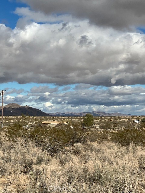 MLS #JT25240217 image #8