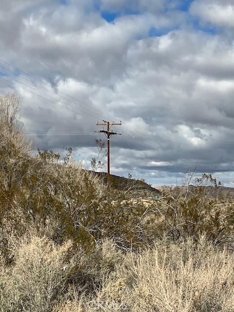 MLS #JT25240217 image #9