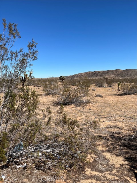 MLS #JT25240249 image #1