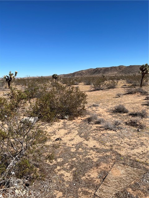 MLS #JT25240249 image #2