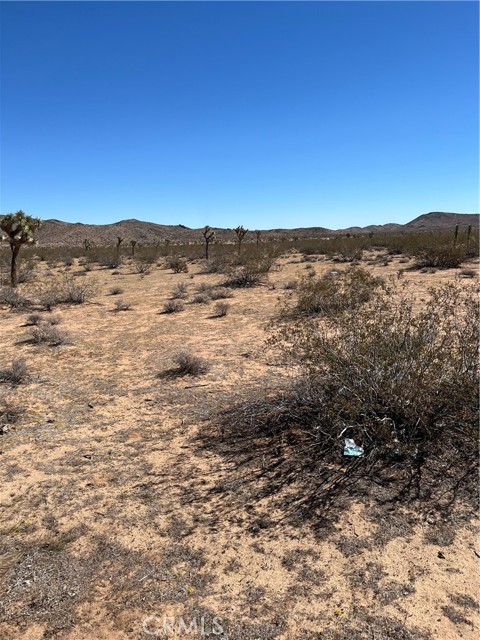 MLS #JT25240249 image #3