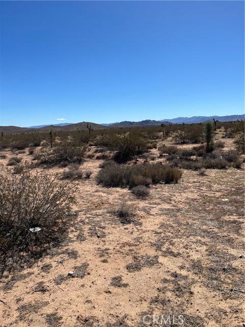 MLS #JT25240249 image #4