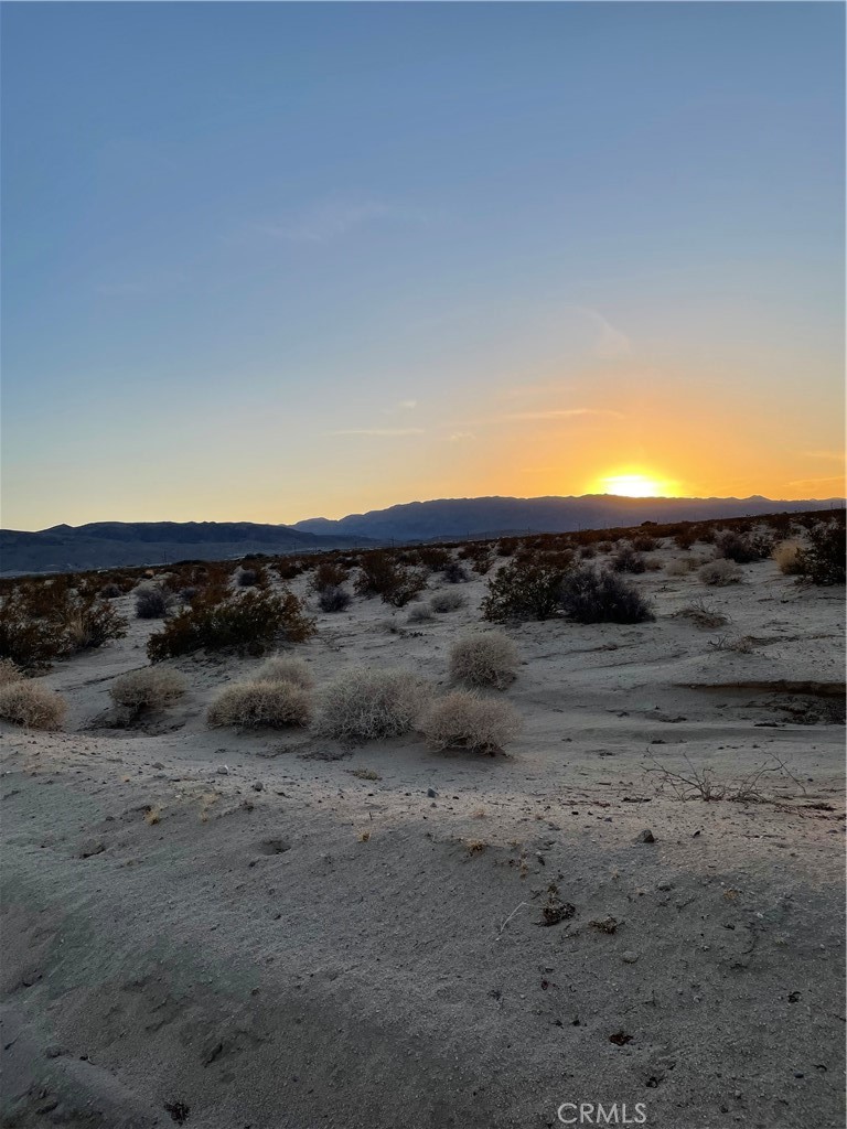 MLS #JT25241286 image #2