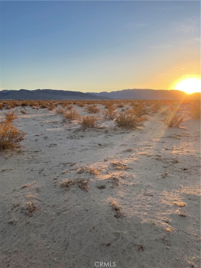 MLS #JT25241286 image #3