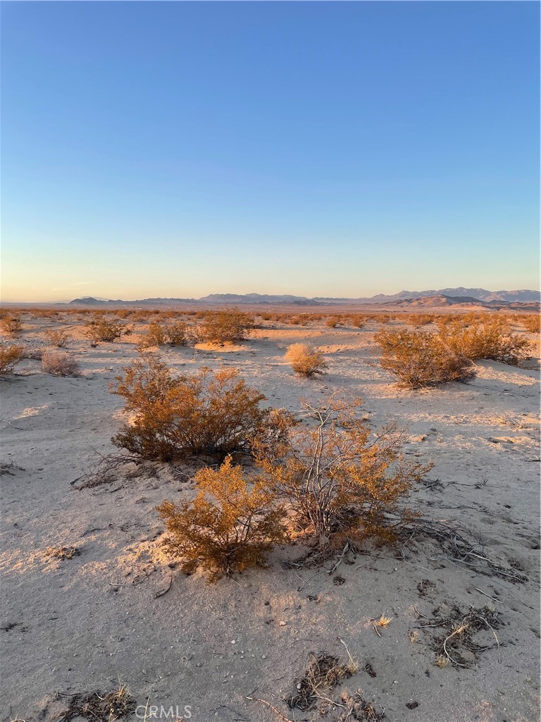 MLS #JT25241286 image #4