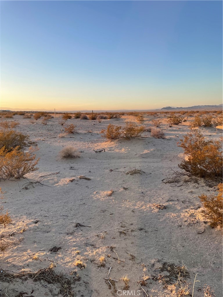 MLS #JT25241286 image #5