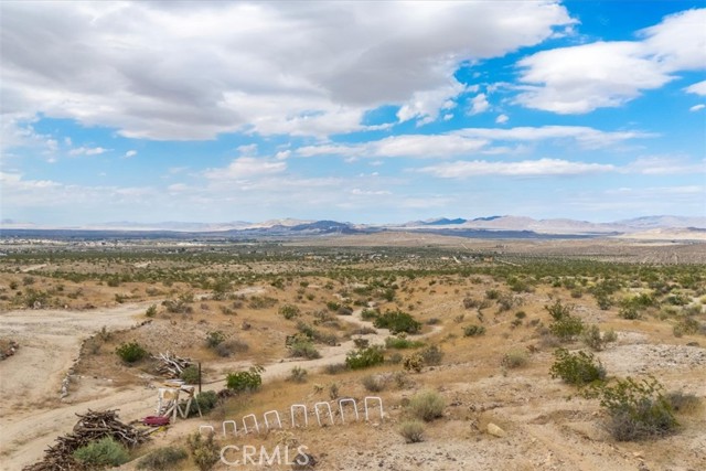 MLS #JT25242020 image #10