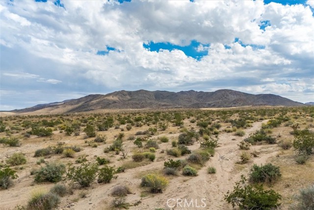 MLS #JT25242020 image #11