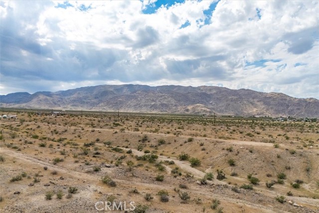 MLS #JT25242020 image #13