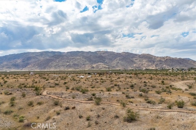 MLS #JT25242020 image #14