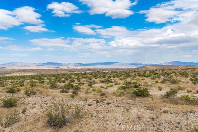 MLS #JT25242020 image #15