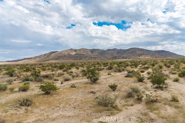 MLS #JT25242020 image #16