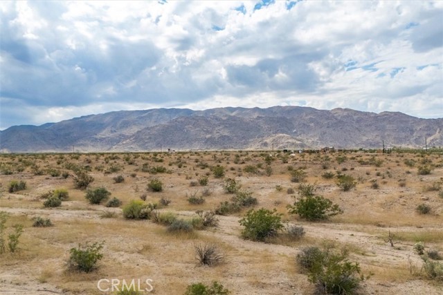 MLS #JT25242020 image #17