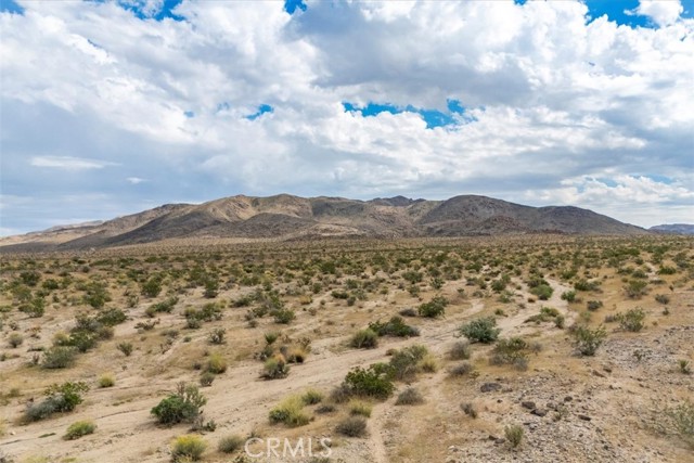 MLS #JT25242020 image #22