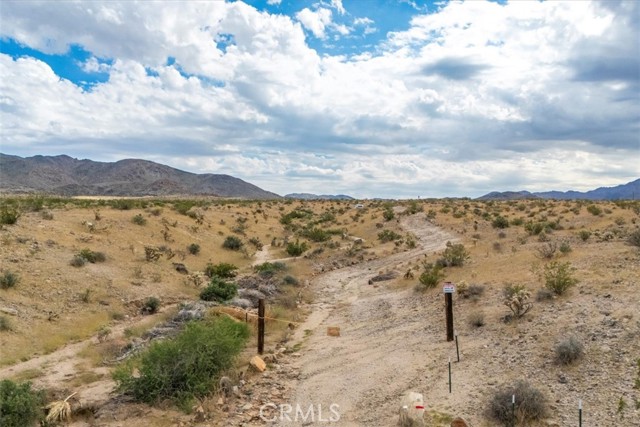 MLS #JT25242020 image #4