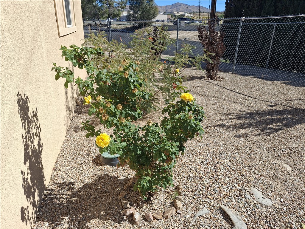 MLS #JT25242070 image #22