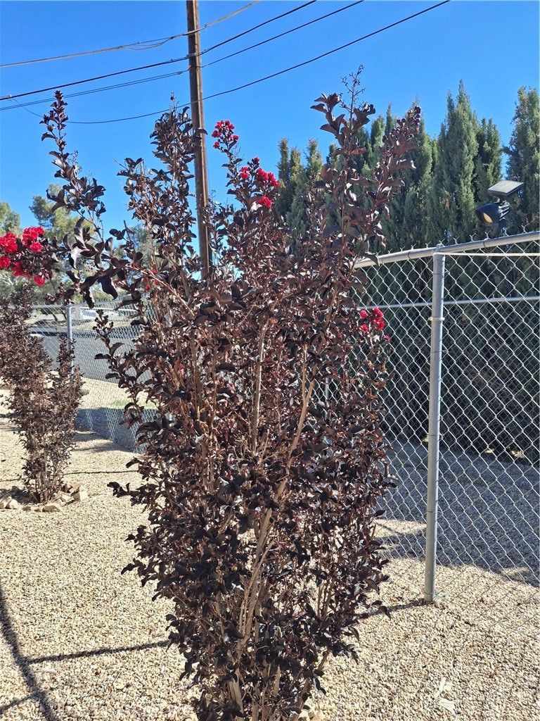 MLS #JT25242070 image #24