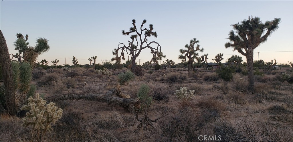 MLS #JT25242301 image #10