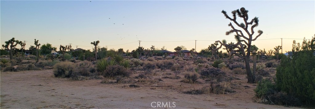 MLS #JT25242301 image #11