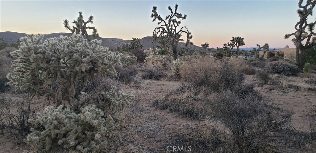 MLS #JT25242301 image #12