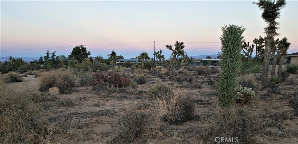 MLS #JT25242301 image #13