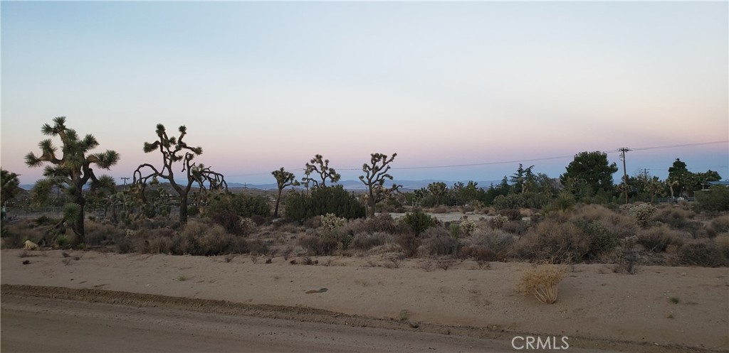 MLS #JT25242301 image #15