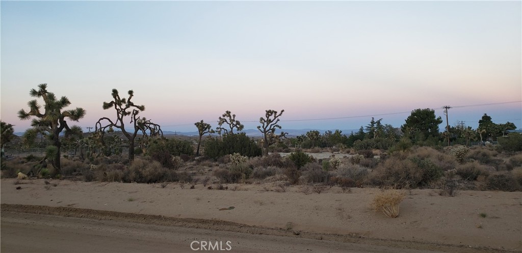 MLS #JT25242301 image #16