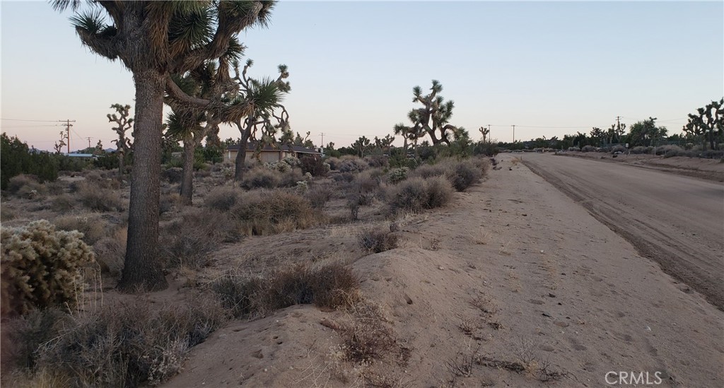 MLS #JT25242301 image #17