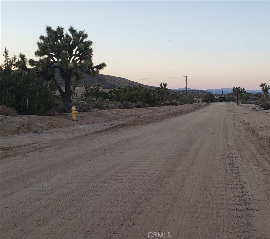 MLS #JT25242301 image #19