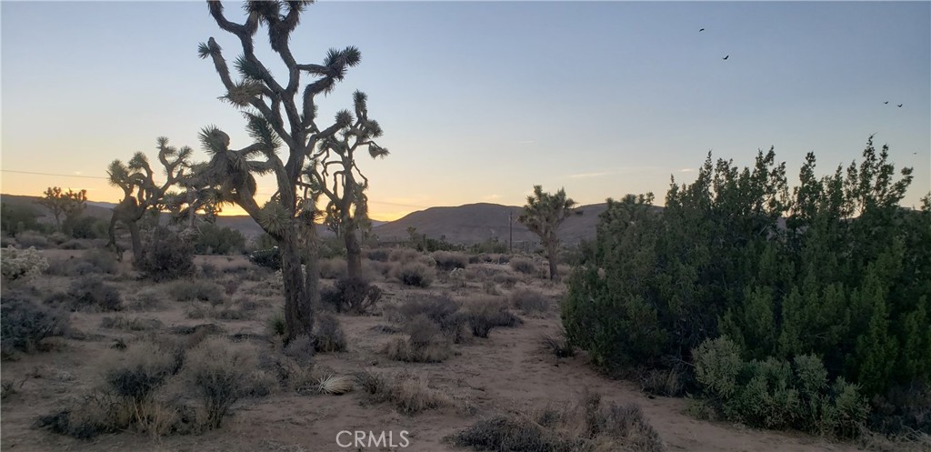 MLS #JT25242301 image #2