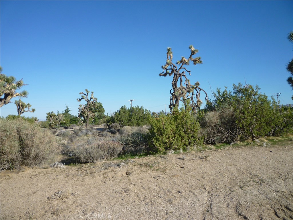 MLS #JT25242301 image #23