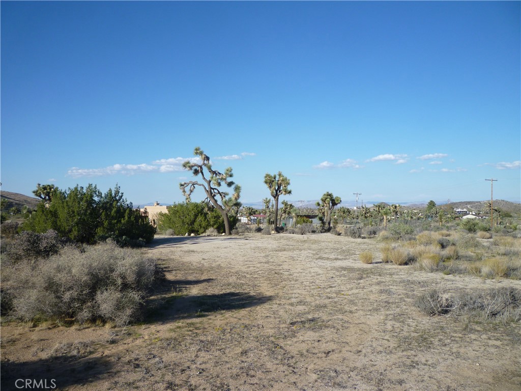 MLS #JT25242301 image #25