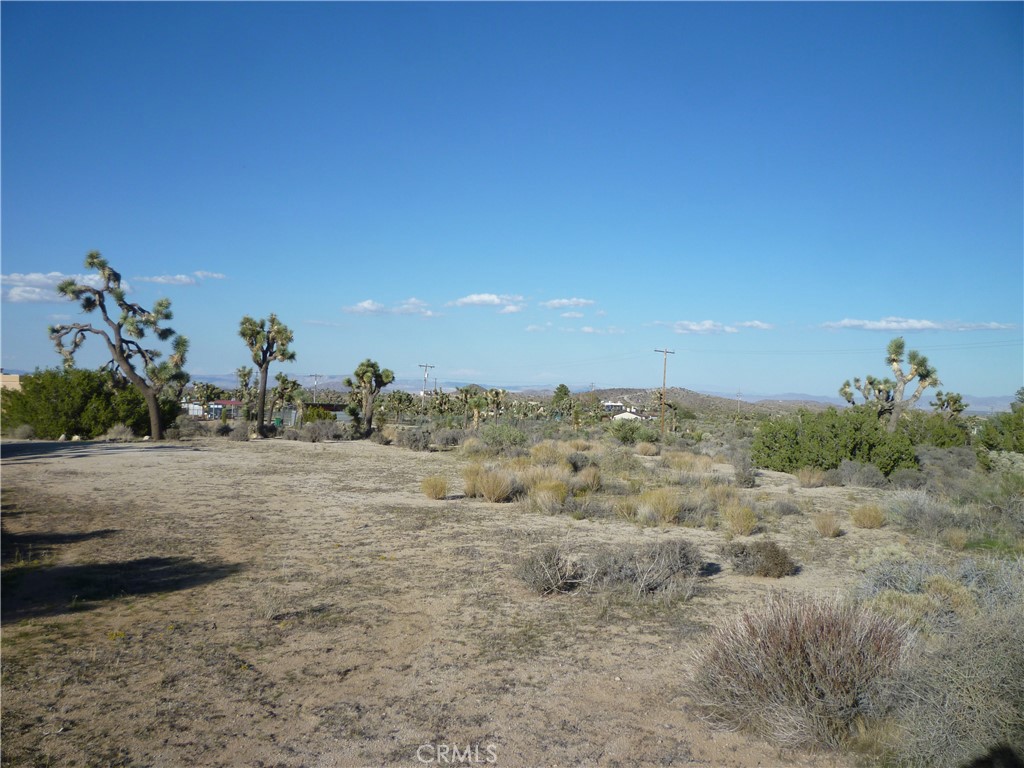 MLS #JT25242301 image #26