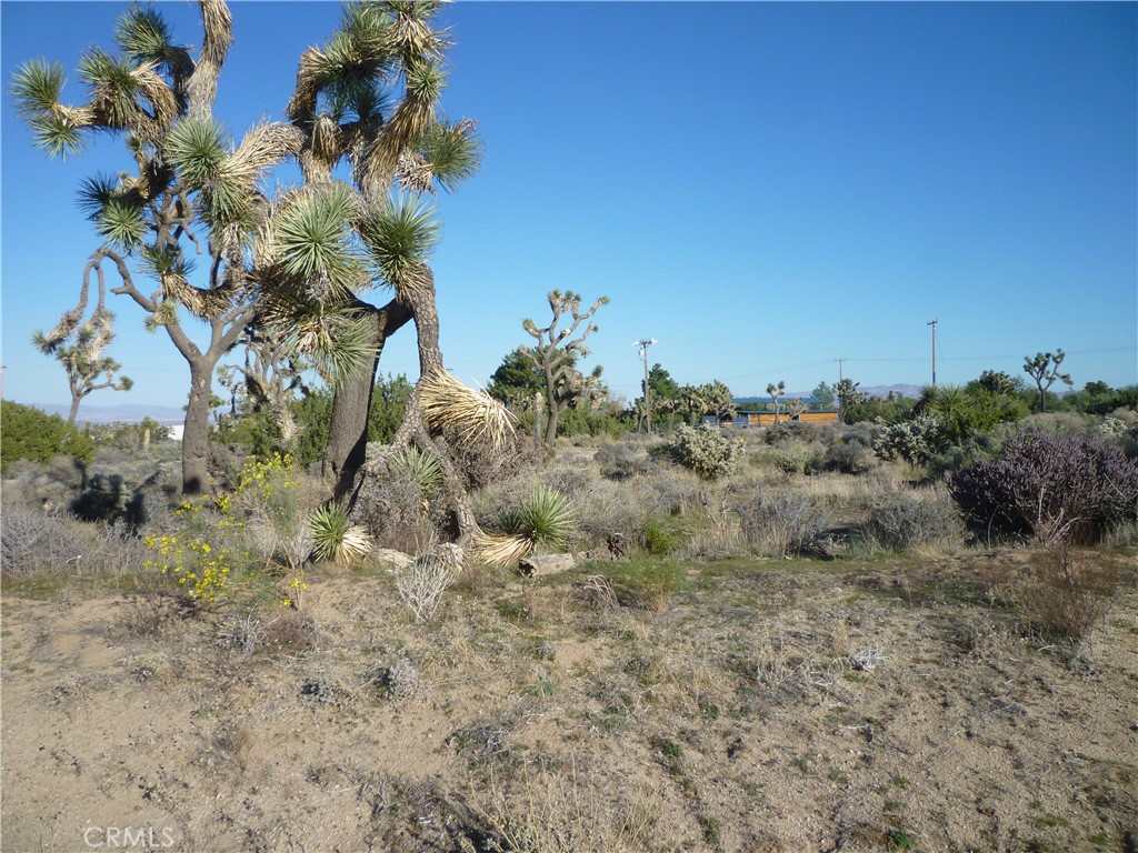 MLS #JT25242301 image #4