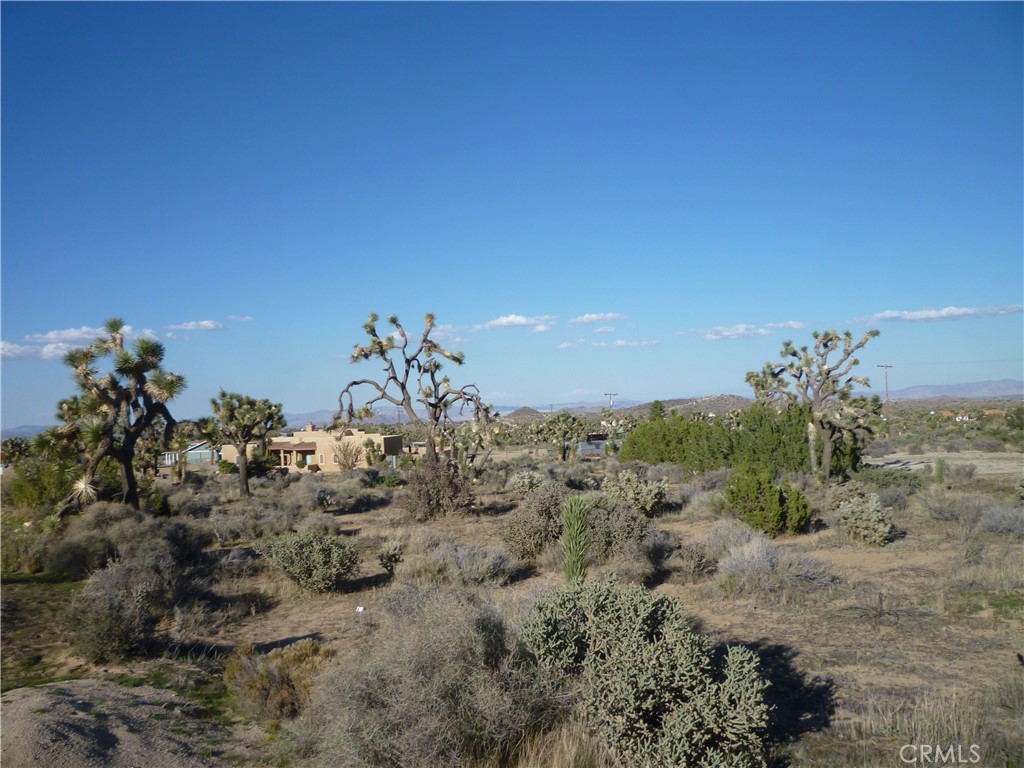 MLS #JT25242301 image #5