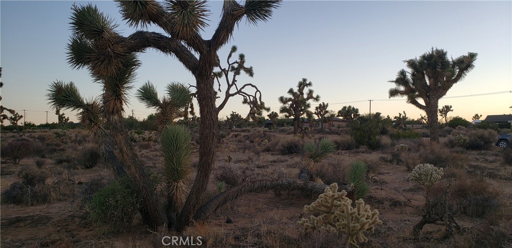 MLS #JT25242301 image #6