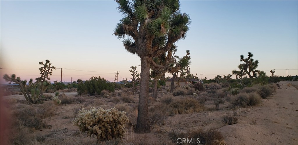 MLS #JT25242301 image #9