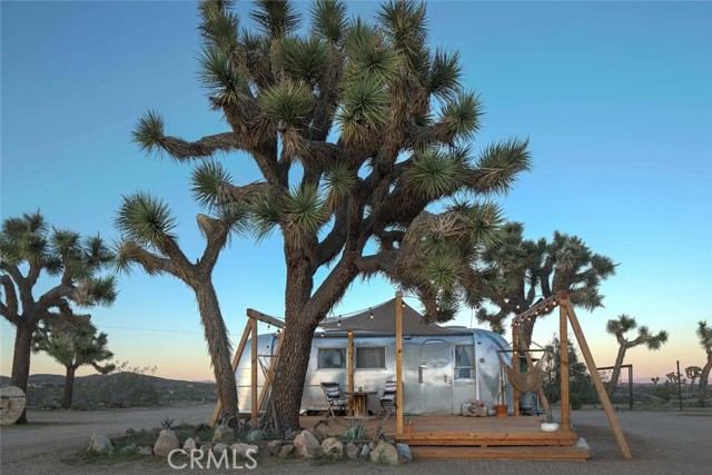 MLS #JT25242789 image #43