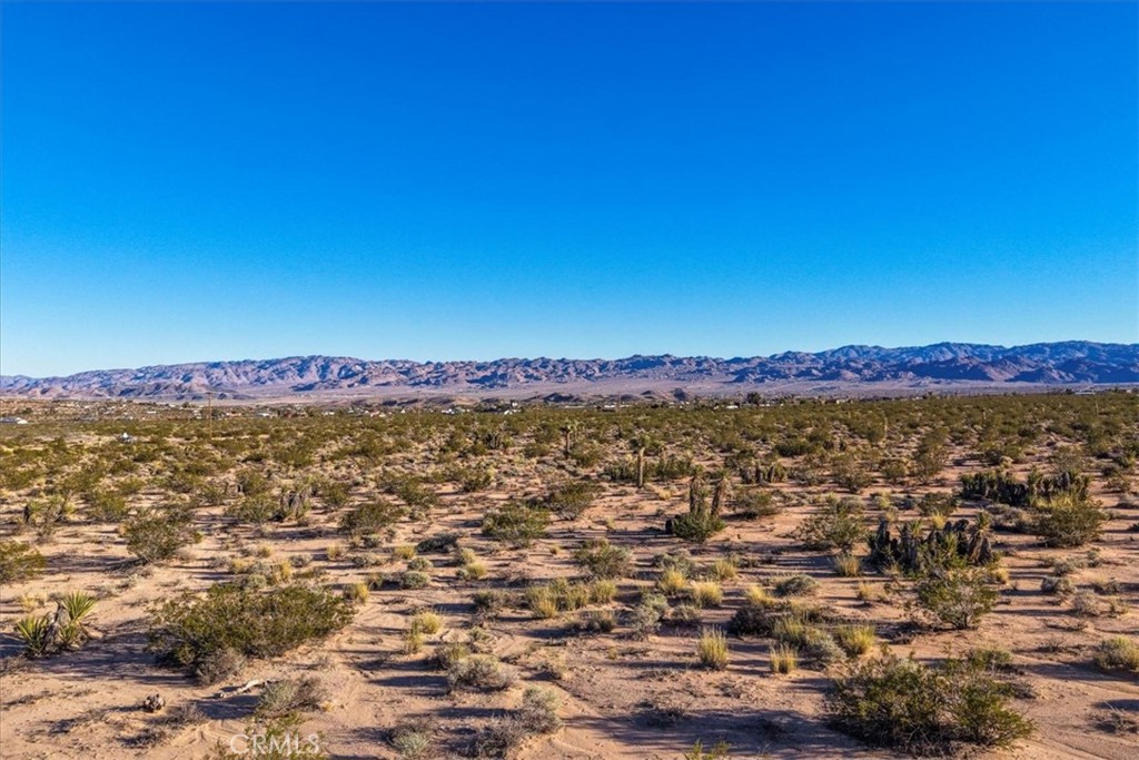 MLS #JT25243037 image #6