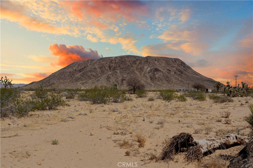 MLS #JT25243144 image #5