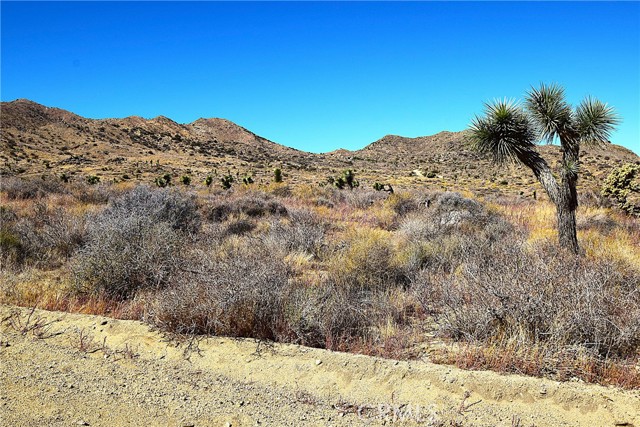 MLS #JT25243508 image #3