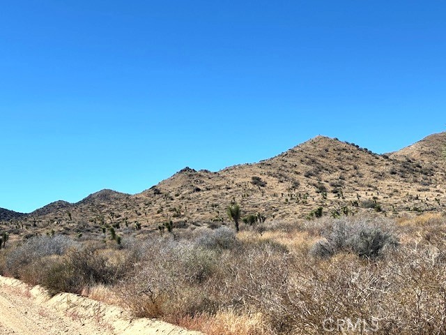 MLS #JT25243508 image #4