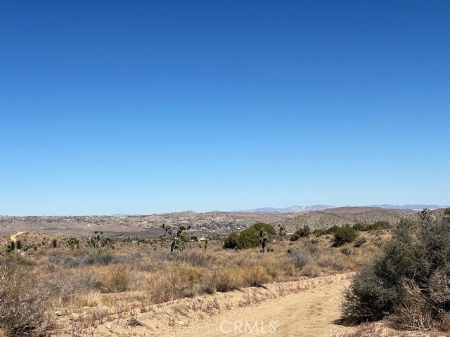 MLS #JT25243508 image #6