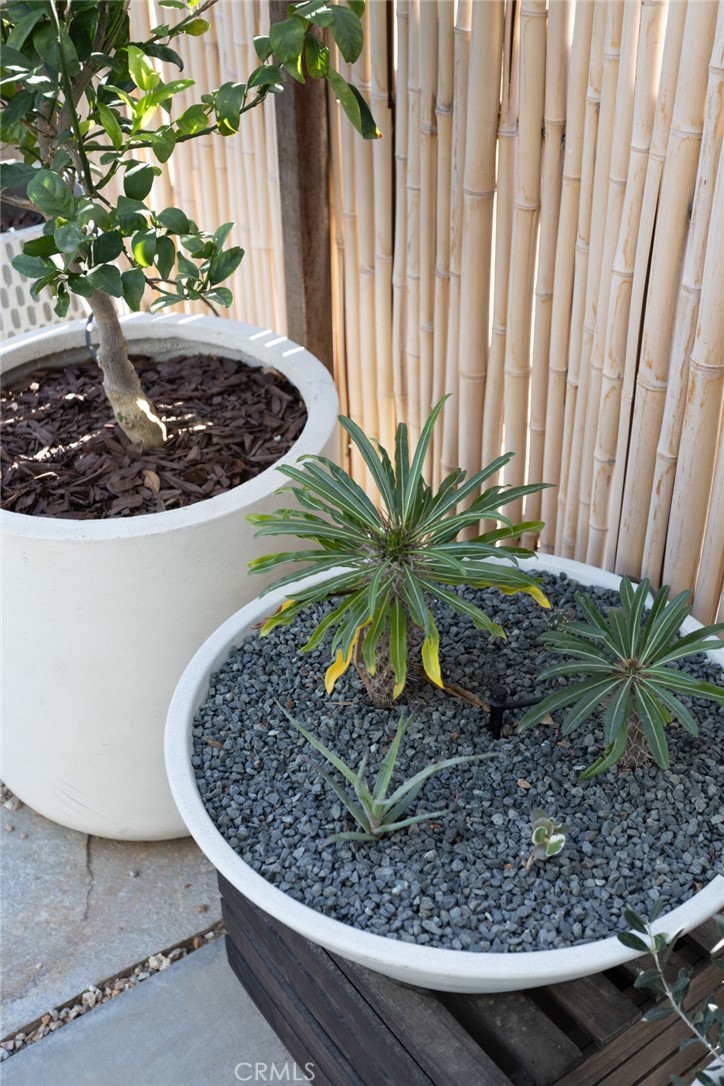 MLS #JT25243977 image #39